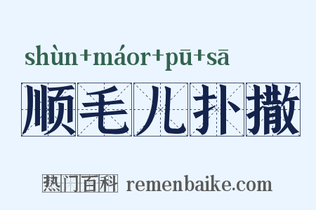 顺毛儿扑撒是什么意思的图片